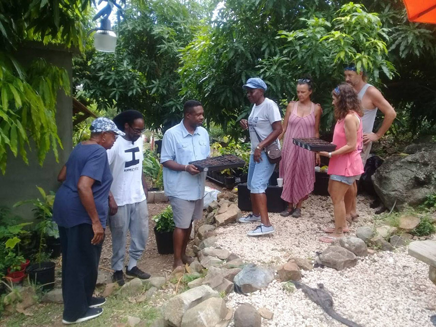 week-2-eco-learning-spaceless-gardens-st-maarten-agriculture-14