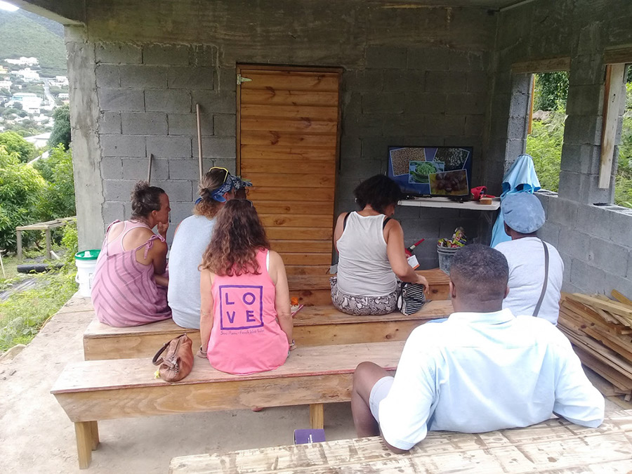 week-2-eco-learning-spaceless-gardens-st-maarten-agriculture-2
