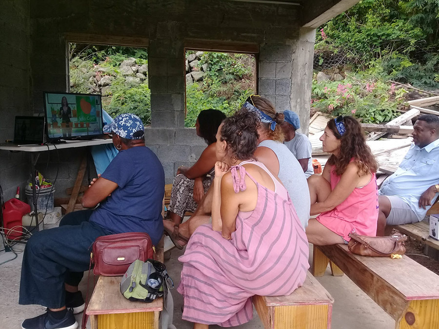week-2-eco-learning-spaceless-gardens-st-maarten-agriculture-4