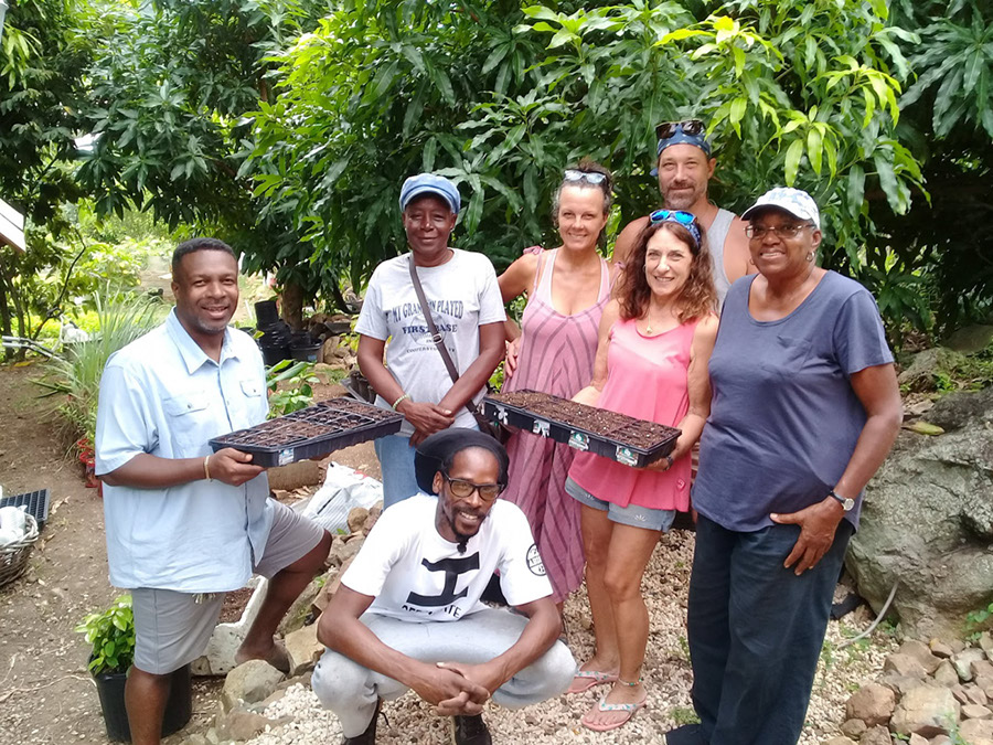 week-2-eco-learning-spaceless-gardens-st-maarten-agriculture-5