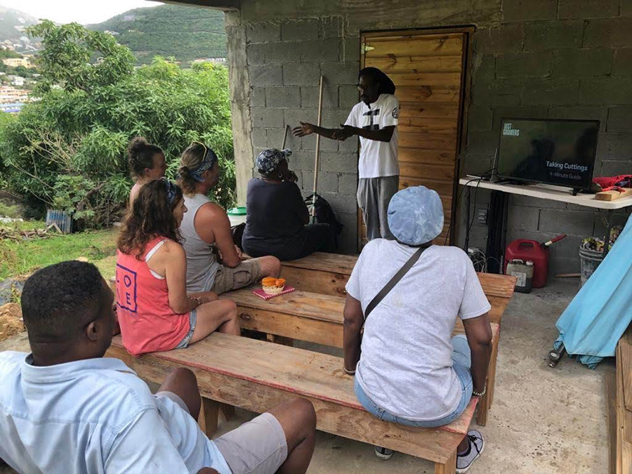 week-2-eco-learning-spaceless-gardens-st-maarten-agriculture-6