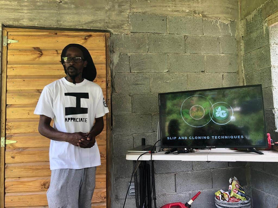 week-2-eco-learning-spaceless-gardens-st-maarten-agriculture-7