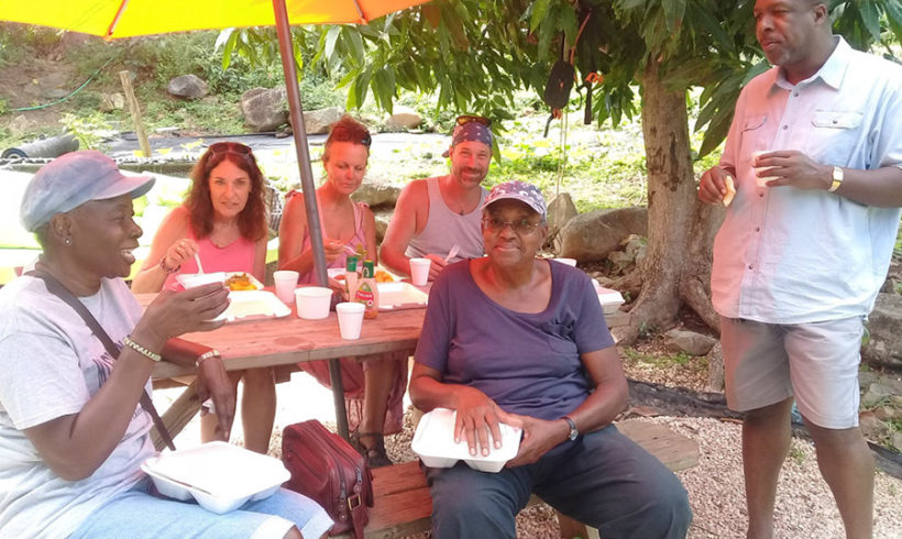 Week 2 a Success – Identifying Seeds Types, Cloning, Cuttings and Seed germination