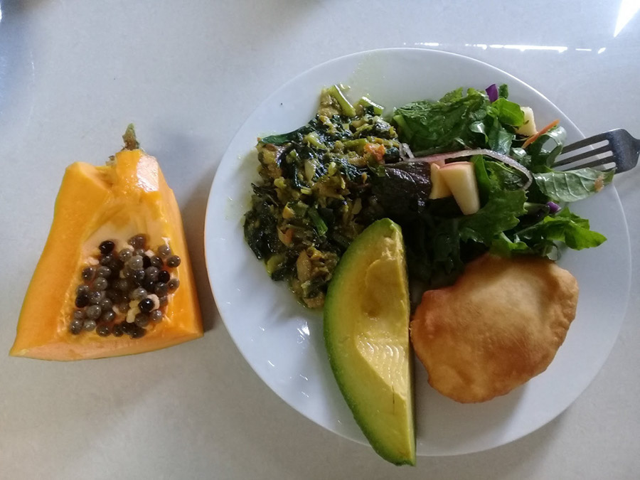 week-2-eco-learning-spaceless-gardens-st-maarten-agriculture-9