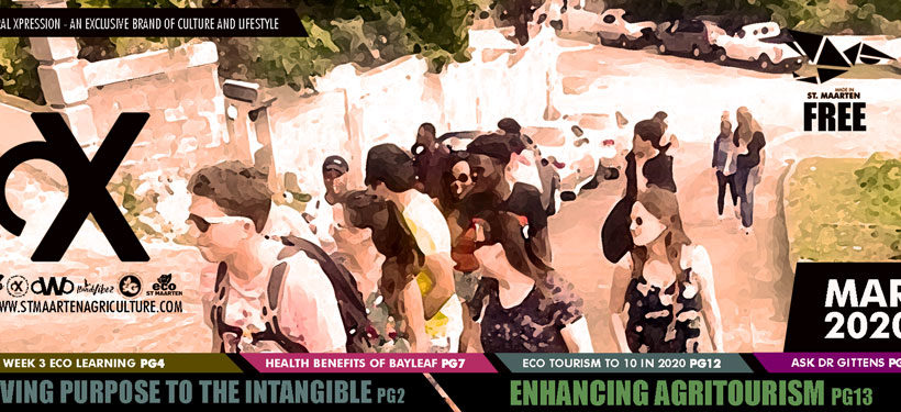 Cultural Xpression March 2020 | Giving Purpose to the Intangible