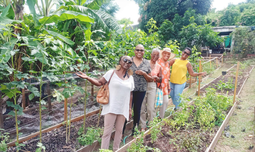 ECO Learning with St Maarten Government & Spaceless Gardens