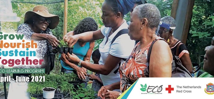 ECO Learning with The Netherlands Red Cross Society  & SG