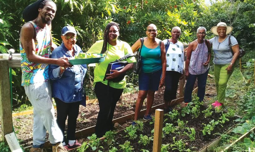 Recovery, Development and the Pandemic on St Martin