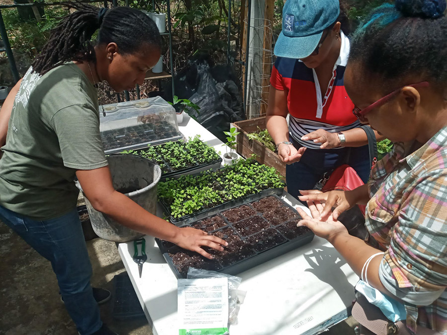 eco-learning-program-2-2021-spaceless-gardens-st-maarten-group-a-1