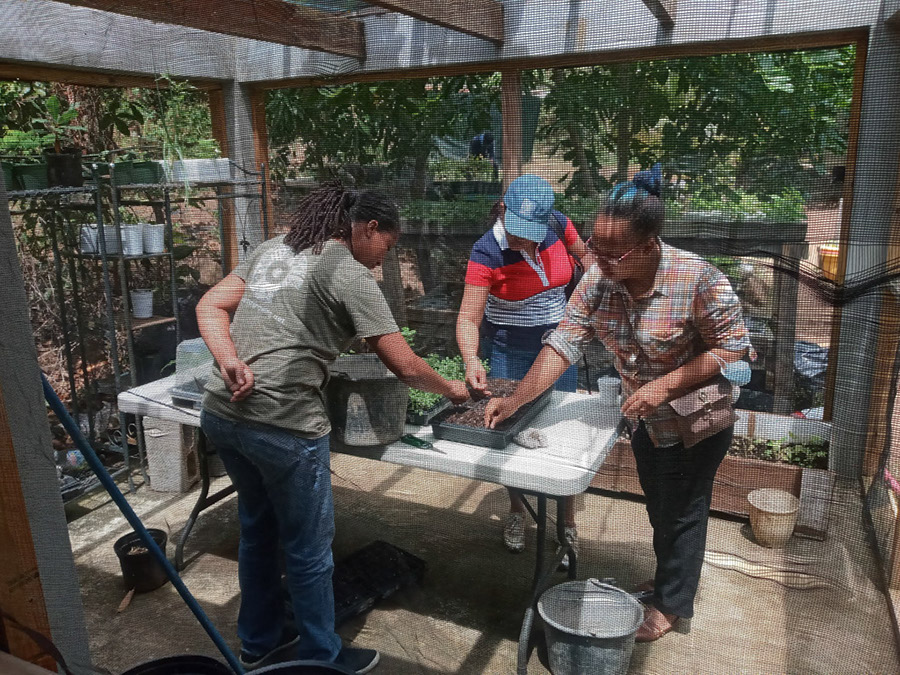 eco-learning-program-2-2021-spaceless-gardens-st-maarten-group-a-4