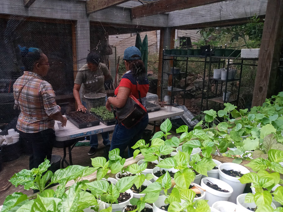 eco-learning-program-2-2021-spaceless-gardens-st-maarten-group-a-5
