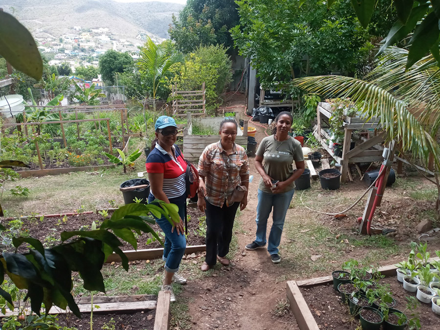 eco-learning-program-2-2021-spaceless-gardens-st-maarten-group-a-7