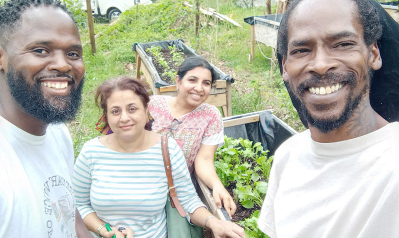 Nutrition, Are you Healthy? – ECO Learning Week 7