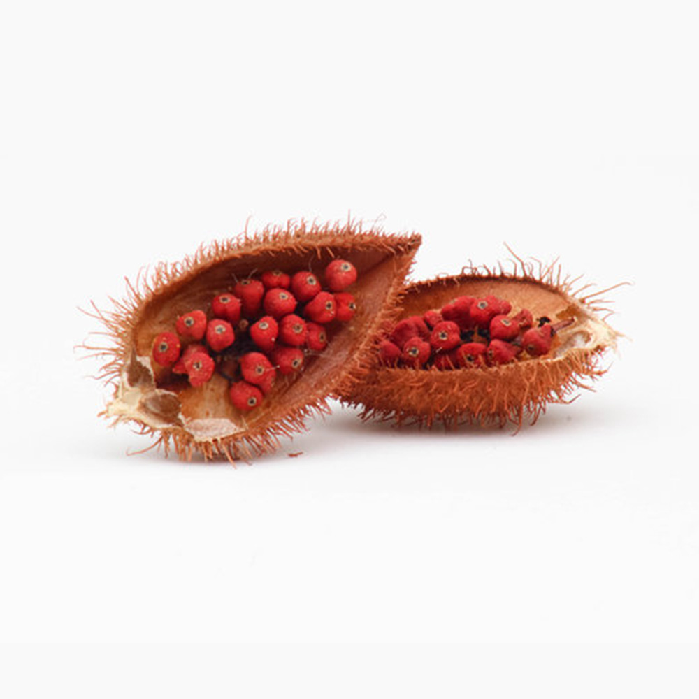 annatto-st-maarten-agriculture-eco-900-px